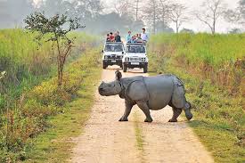 Adventurous Assam Tour Package 